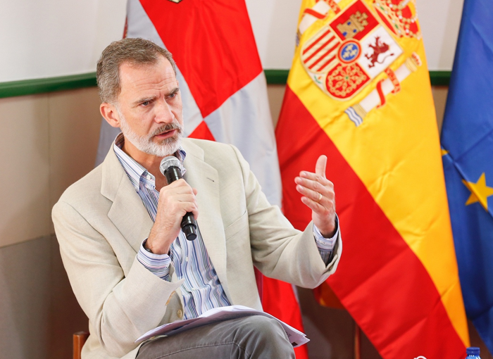 LA INVIOLABILIDAD DEL REY FELIPE VI