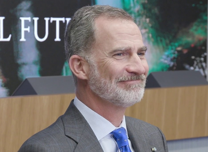 LA SOMBRA DE FELIPE VI