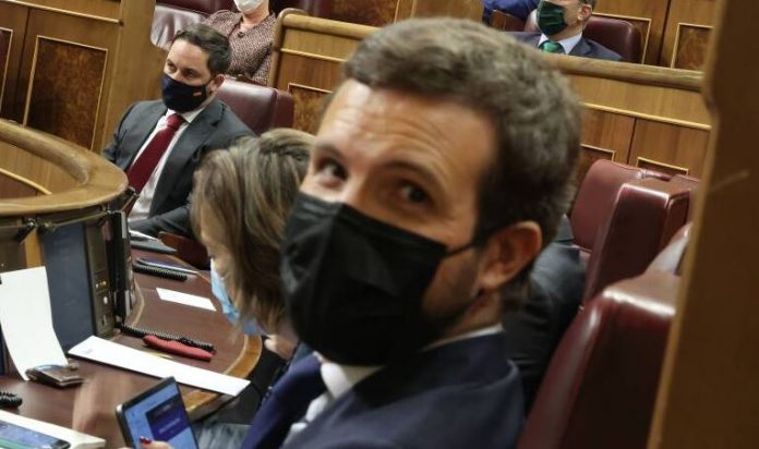 Casado