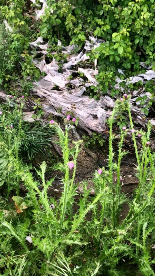 Diez años vertiendo aguas fecales en ruinas romanas, así se las gastan en este pueblo 1 Moncloa capa putrefacta Moncloa