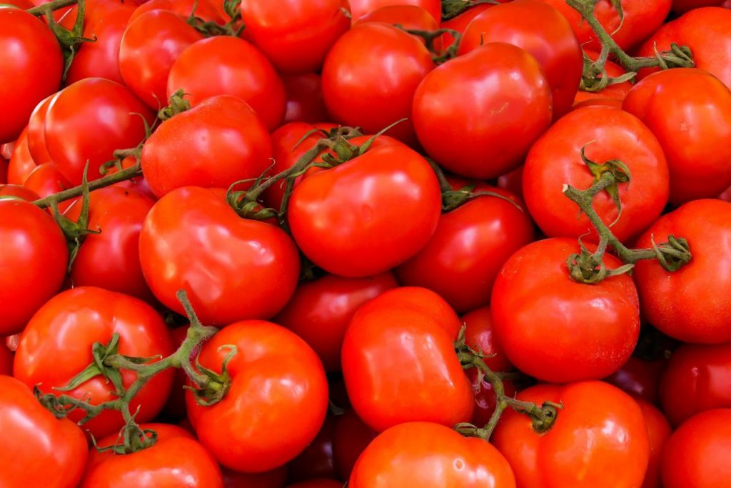 tomates Moncloa