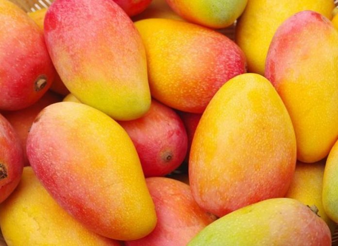 EL MANGO DE MERCADONA ARRASA EN VENTAS
