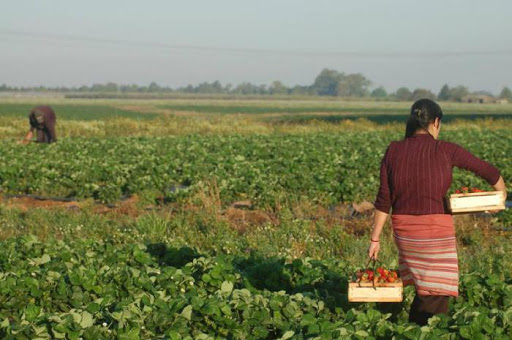Amfar analizará el papel de las mujeres en las políticas de desarrollo rural