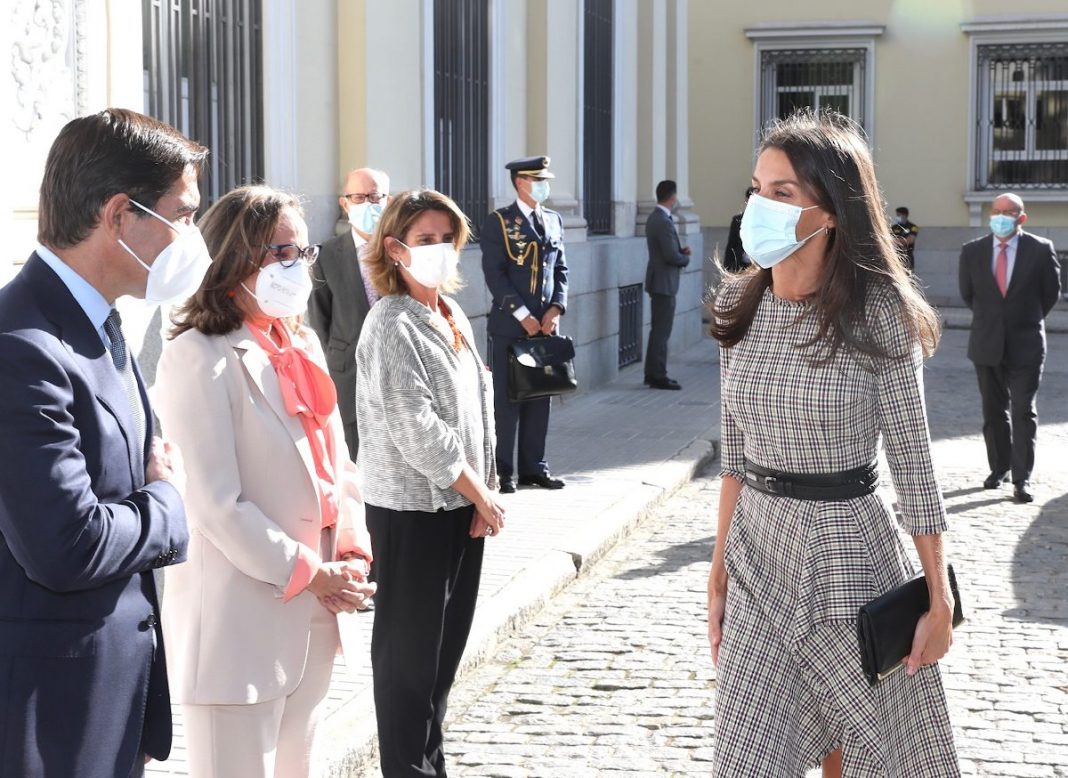 EL INCIDENTE DE AVIÓN DE LA REINA LETIZIA CON UN PASAJERO