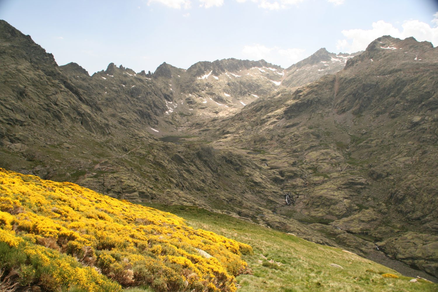 sierra gredos furtivos