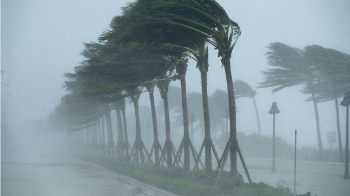 viento