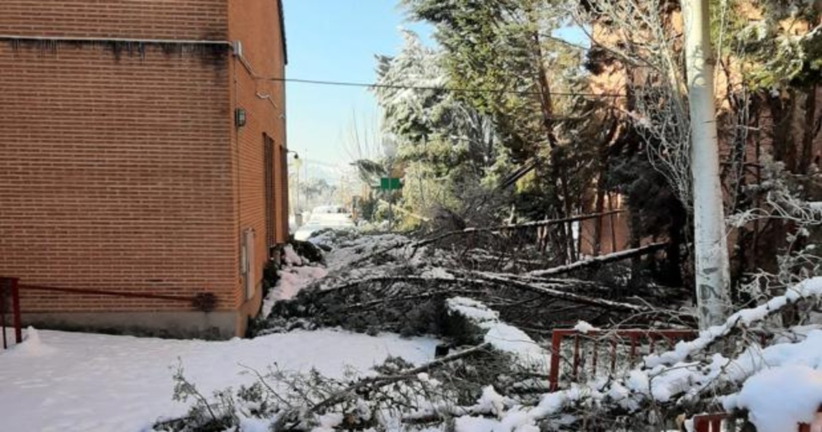 Árboles caídos, patios sepultados o tuberías rotas en colegios toledanos