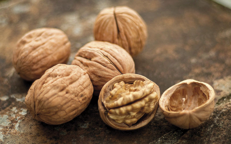 NUECES: FRUTOS SECOS CON MUCHAS CALORÍAS