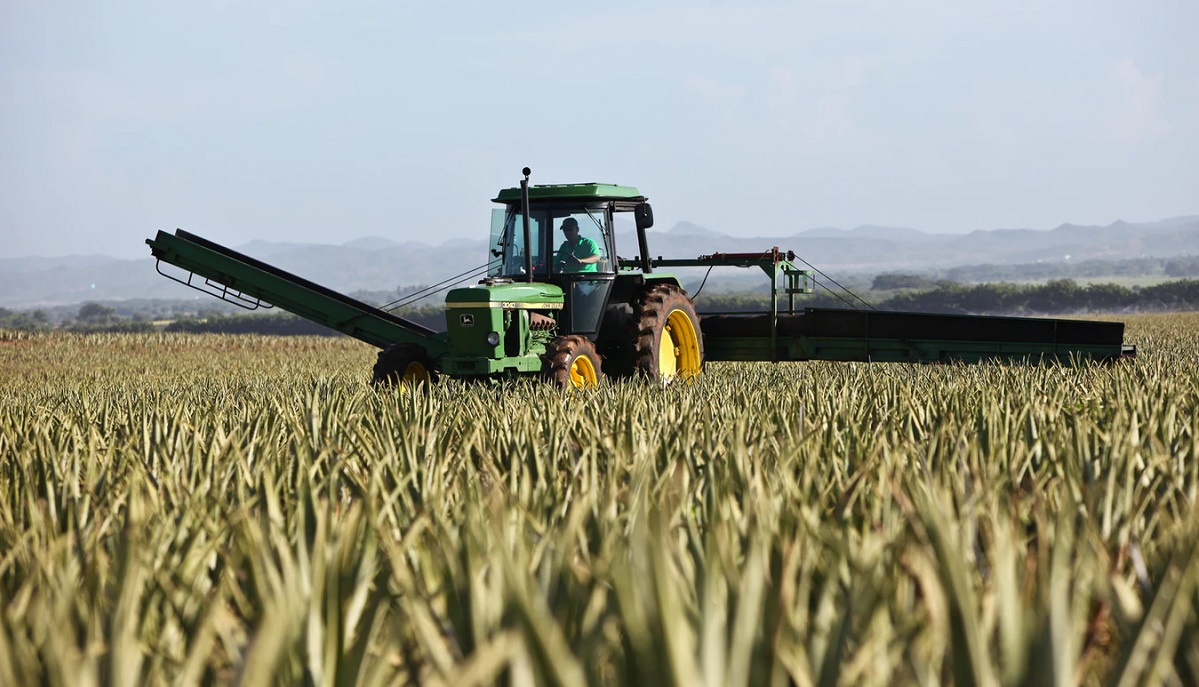 agricultura intensiva