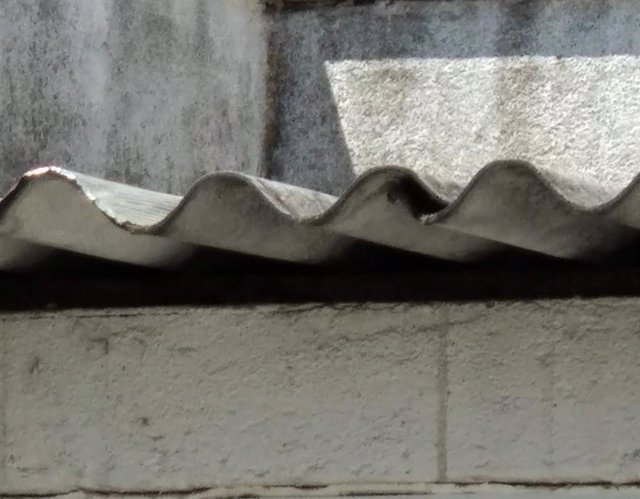 amianto