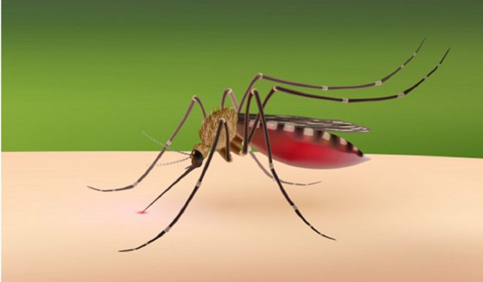 mejores remedios mosquitos