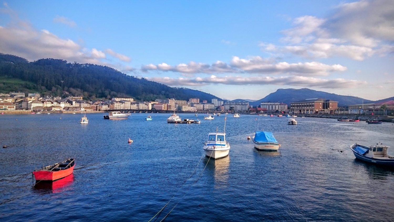 viveiro