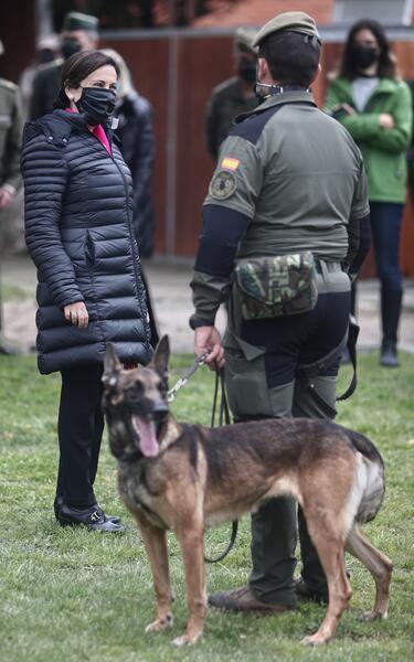 Robles visita el Centro Militar Canino donde detectan el covid con perros adiestrados