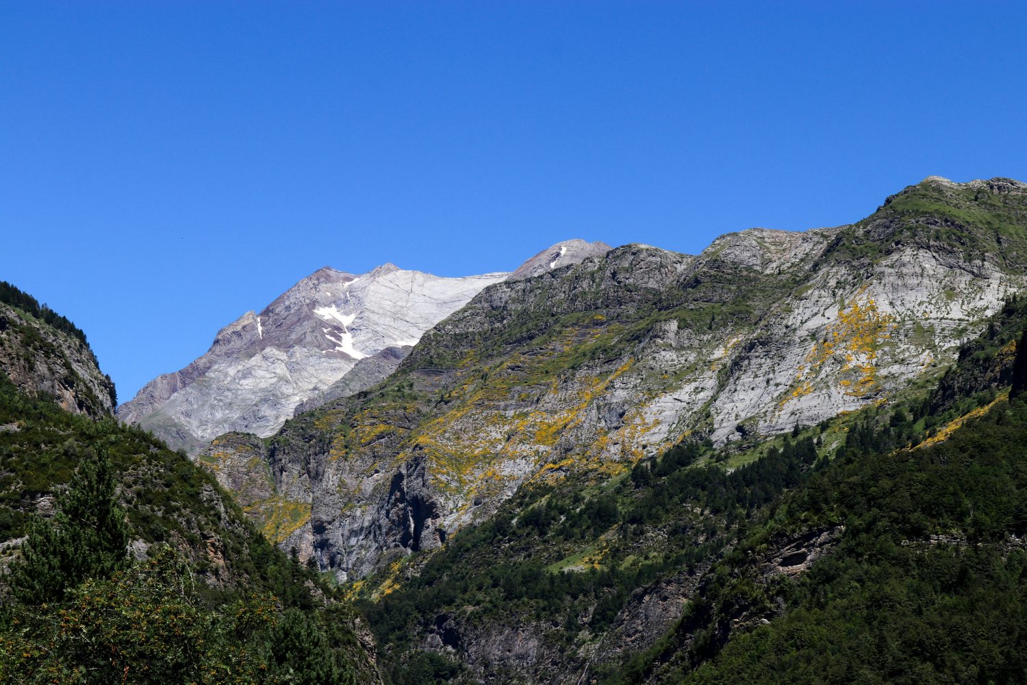 pirineo