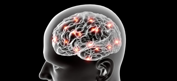 Esto es lo que le puede pasar a tu cuerpo si tomas dos aguacates al día 2 Moncloa Activar el cerebro