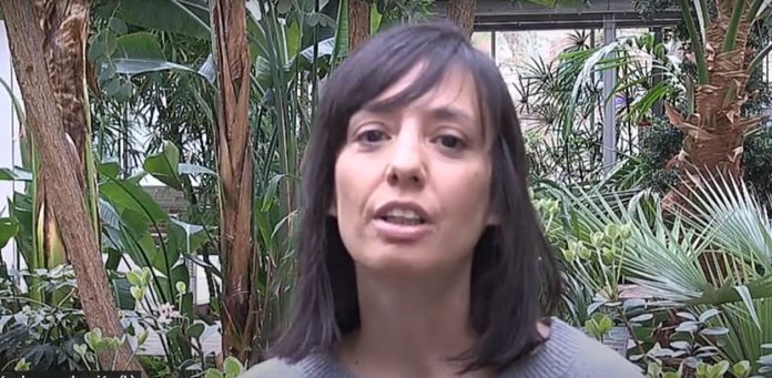 Mercedes González, delegada del Gobierno en Madrid