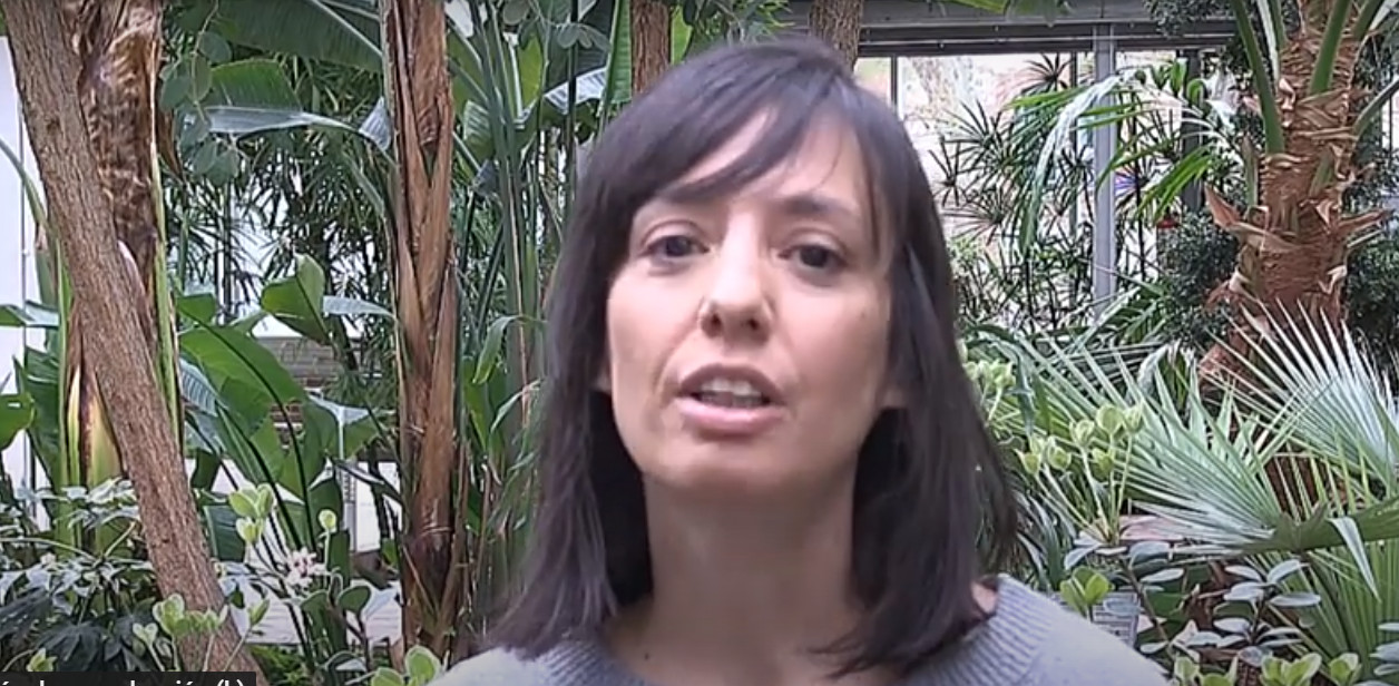 Mercedes González, delegada del Gobierno en Madrid