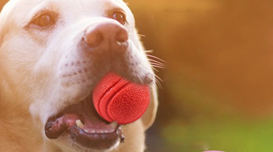 pelota de goma