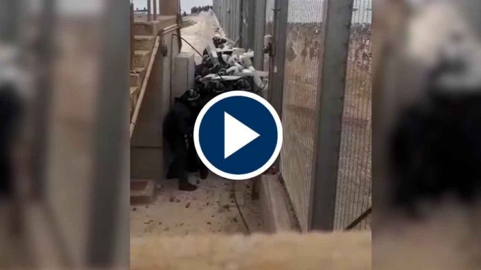 La Policía y la Guardia Civil, desbordada ante la avalancha de inmigrantes desde Marruecos