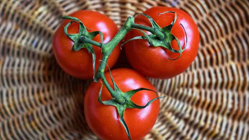 Tomates nevera alimentos