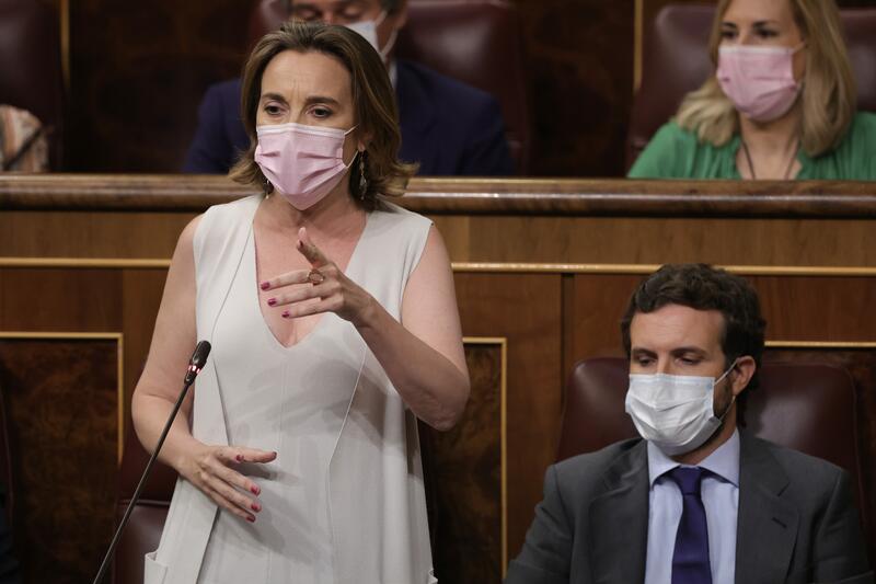 El PP, 