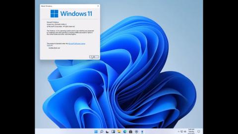 ¿Qué es Windows 11?