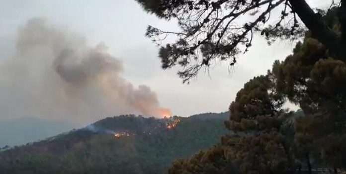 Continúan los trabajos en el incendio de Jubrique, donde el viento ha reavivado las llamas