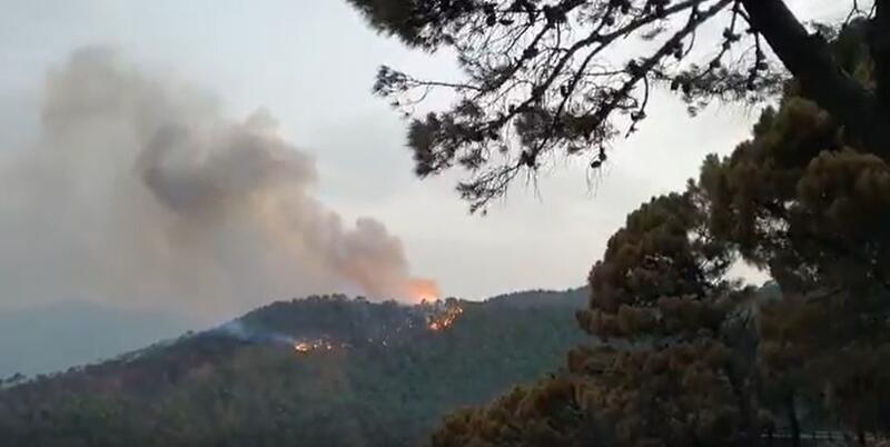 Continúan los trabajos en el incendio de Jubrique, donde el viento ha reavivado las llamas