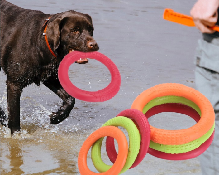 aros para perros