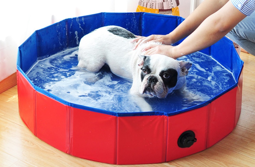 piscina mascotas