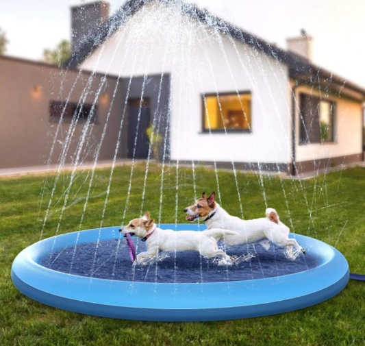 piscina para perros