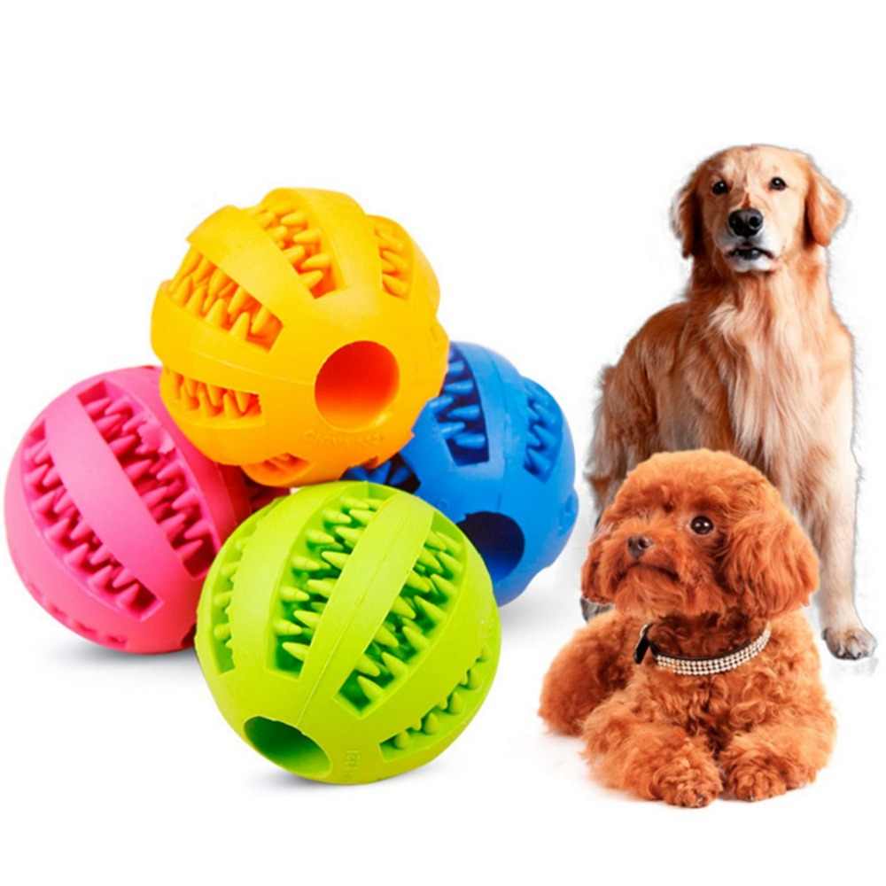 pelota para masticar perros