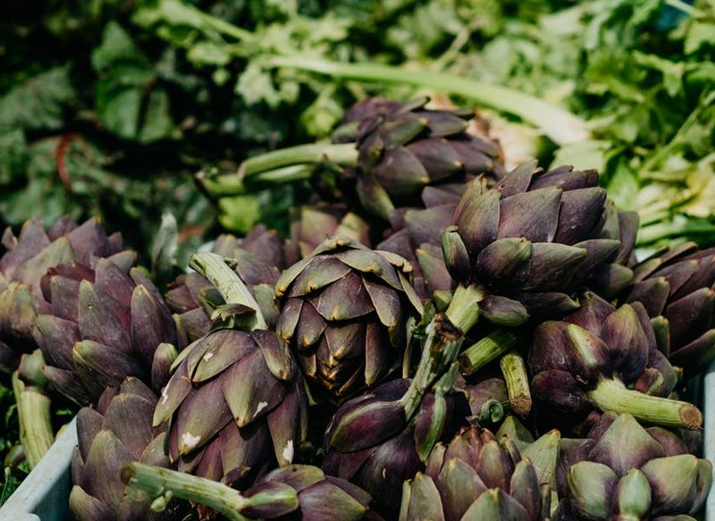 LA ALCACHOFA Y SUS BENEFICIOS