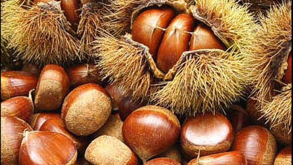 castanas crudas