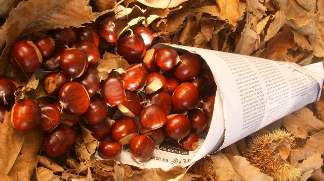 estomago castanas