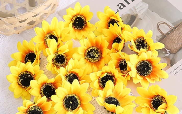 girasoles