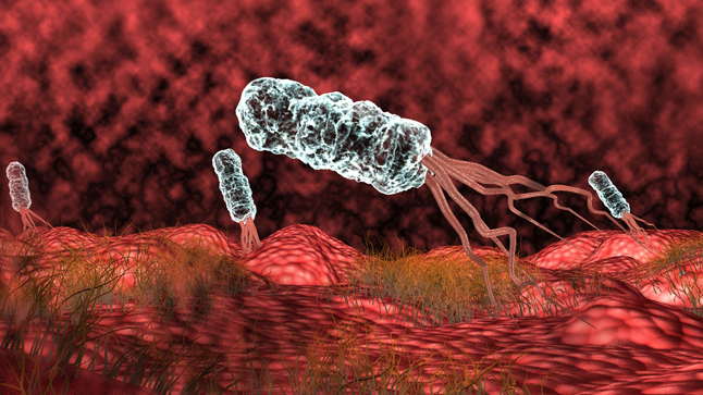 helicobacter-pylori-imagen