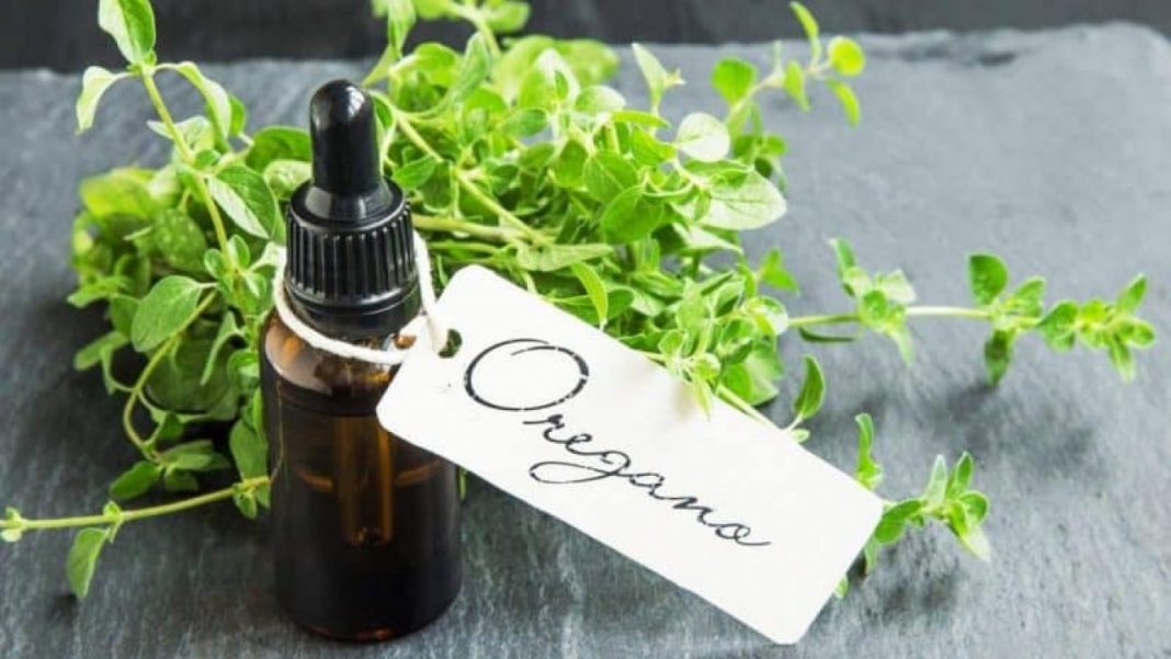 oregano prevenir cancer