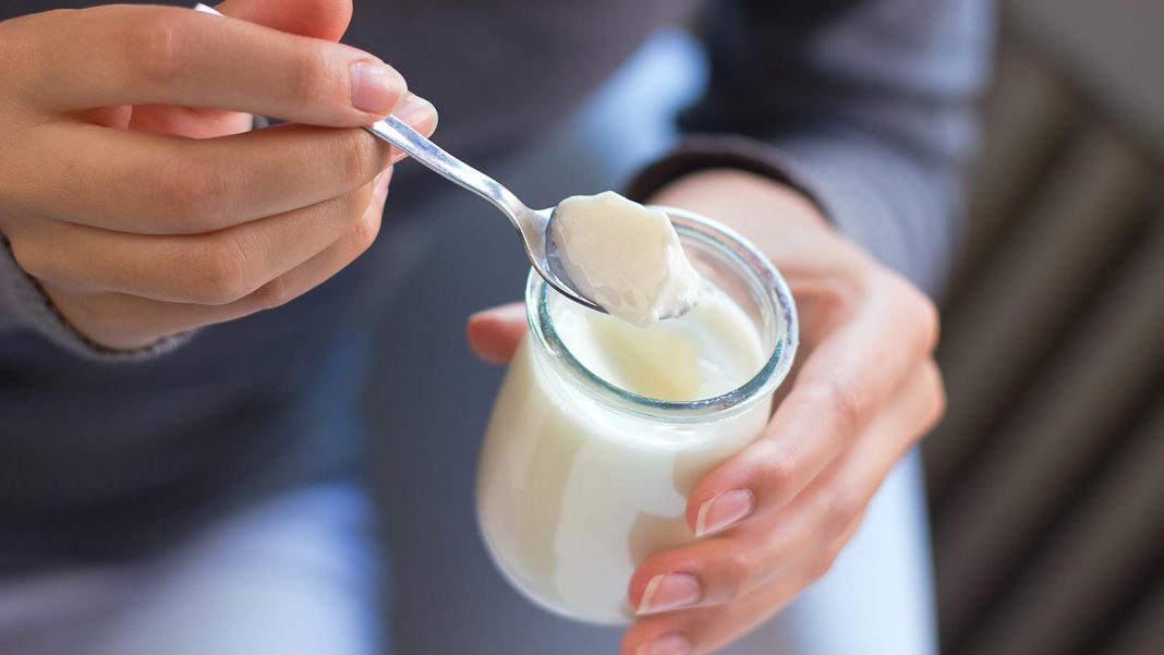 yogur lactosa