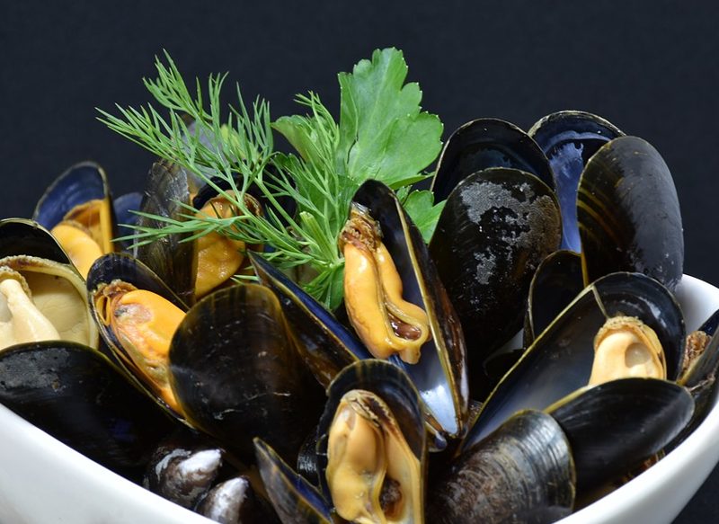 MEJILLONES, UNA FUENTE DE PROTEÍNAS
