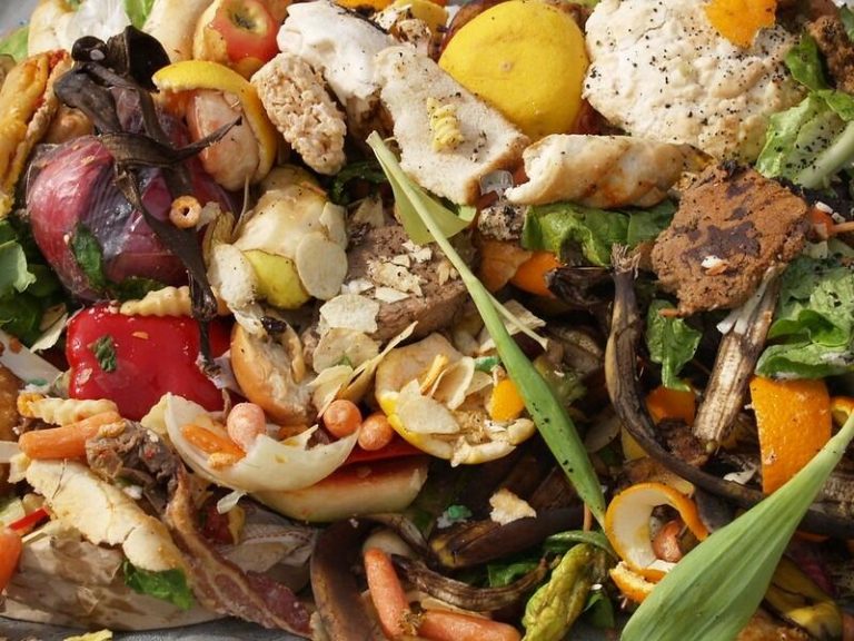 Industria Alimentaria: Estamos en un momento clave de la lucha contra el desperdicio