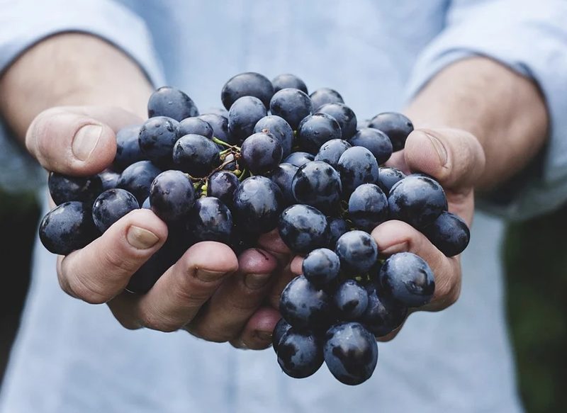 LA FRUTA QUE AYUDA A PREVENIR LA ANEMIA