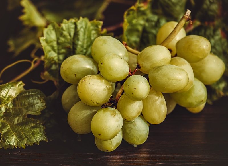 VALOR NUTRICIONAL DE LAS UVAS, FRUTAS PARA COMBATIR LA ANEMIA