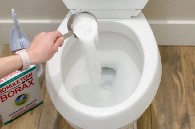 Formas curiosas de dejar tu inodoro como nuevo 6 Moncloa Bórax con Vinagre Blanco inodoro
