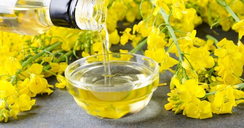 aceite de colza