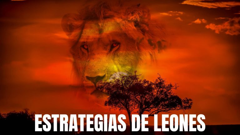 Estrategias de Leones y el funnel de Javier Ramos, conocido como el León de Ventas