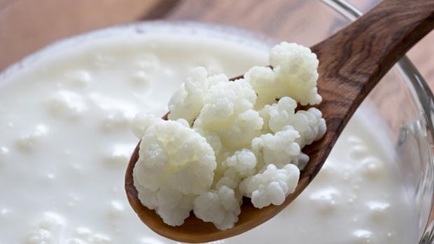 kefir alimento