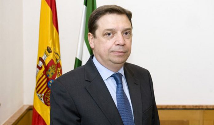 luis planas