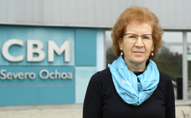 margarita del val sexta ola