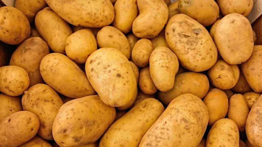 patatas dieta